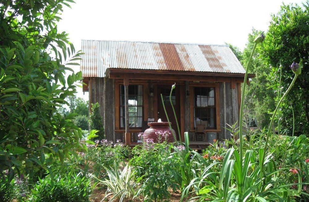 Silver Sycamore Bed & Breakfast Pasadena Exterior photo